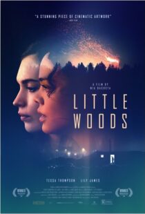 دانلود فیلم Little Woods 201822292-602249931