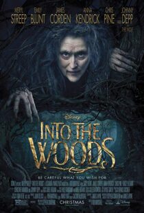 دانلود فیلم Into the Woods 20143675-1397093965