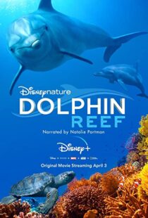 دانلود مستند Dolphin Reef 201838724-980769622