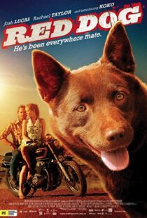 دانلود فیلم Red Dog 201187414-729735675