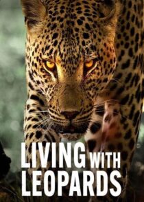 دانلود مستند Living with Leopards 2024400477-712725640