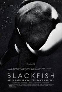 دانلود فیلم Blackfish 2013412328-830806496