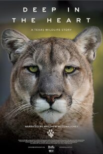 دانلود مستند Deep in the Heart: A Texas Wildlife Story 2022421545-163331561