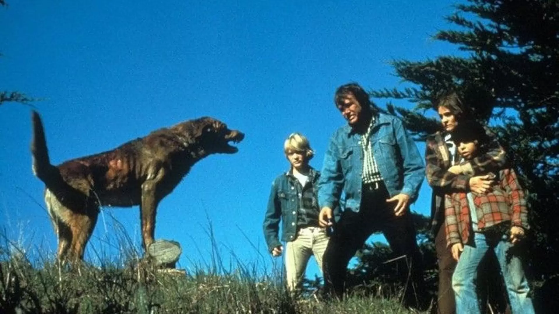 دانلود فیلم The Pack 1977