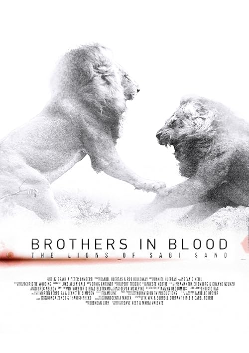 دانلود مستند Brothers in Blood: The Lions of Sabi Sand 2015